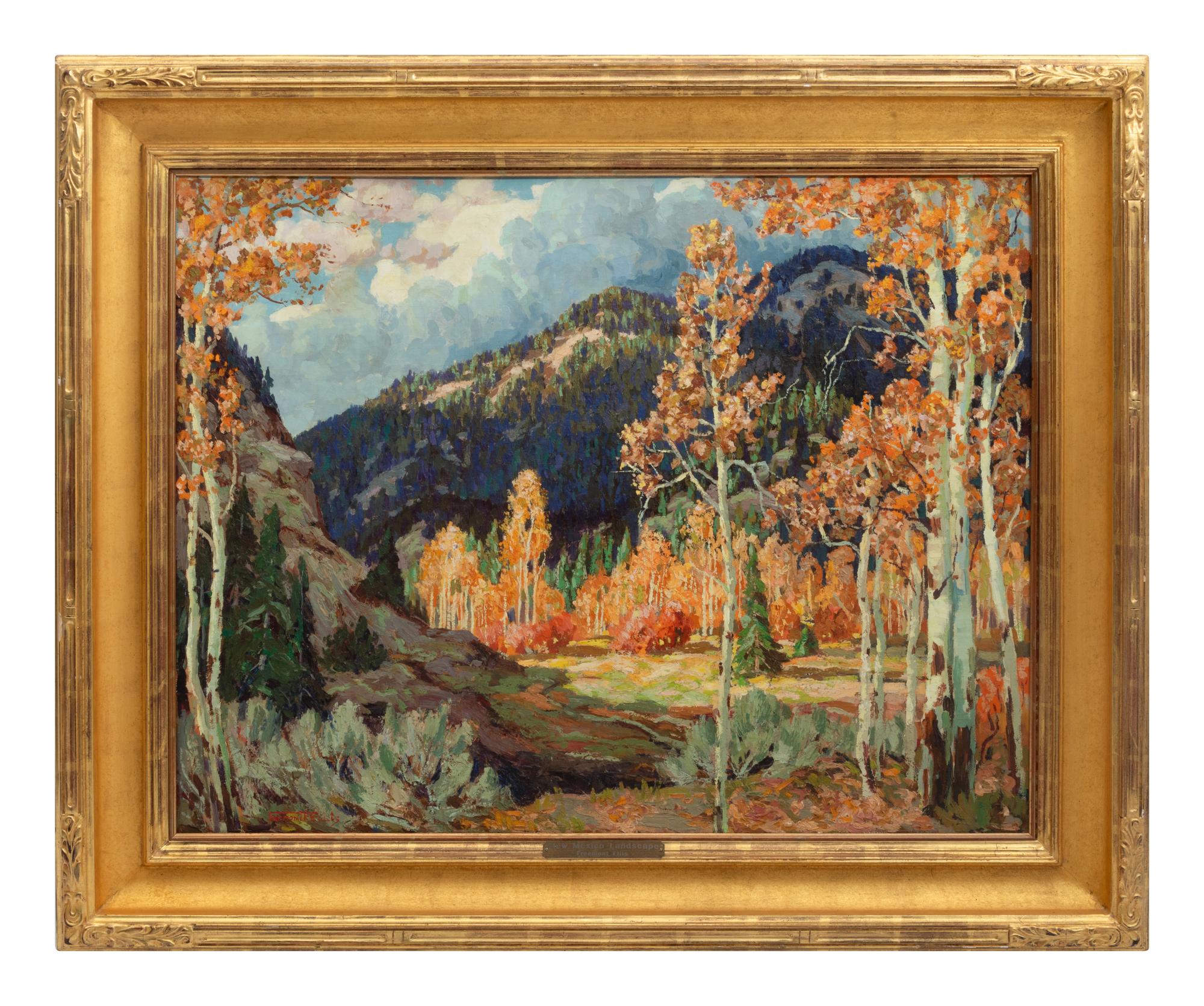 New Mexico Landscape