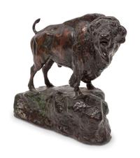 Bison