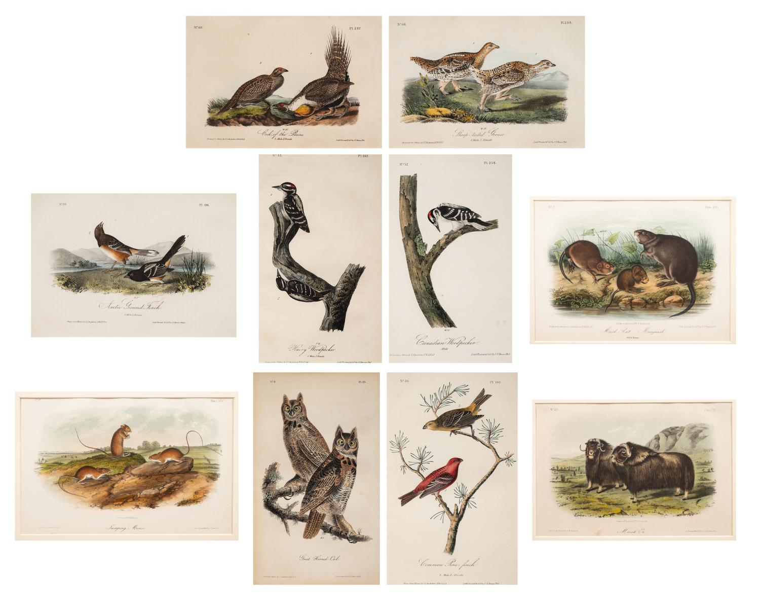 AUDUBON, John James (1785-1852) et al, after A group of 10 octavo-format prints, comprising: