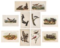AUDUBON, John James (1785-1852) et al, after A group of 10 octavo-format prints, comprising: