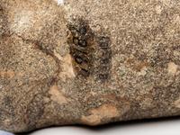 A Porphyry 3/4 Groove Axe
