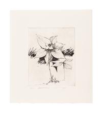 MOSER, Barry. Mayflower. [ca 1979]. 269 x 230 mm. Etching. Captioned and signed in pencil, designated artist’s proof (“ap”). — Bunchberry. [ca 1979]. 269 x 237 mm. Etching. Captioned and signed in pencil, numbered 16/25.