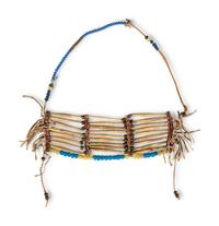 Plains Bone Hairpipe Necklace