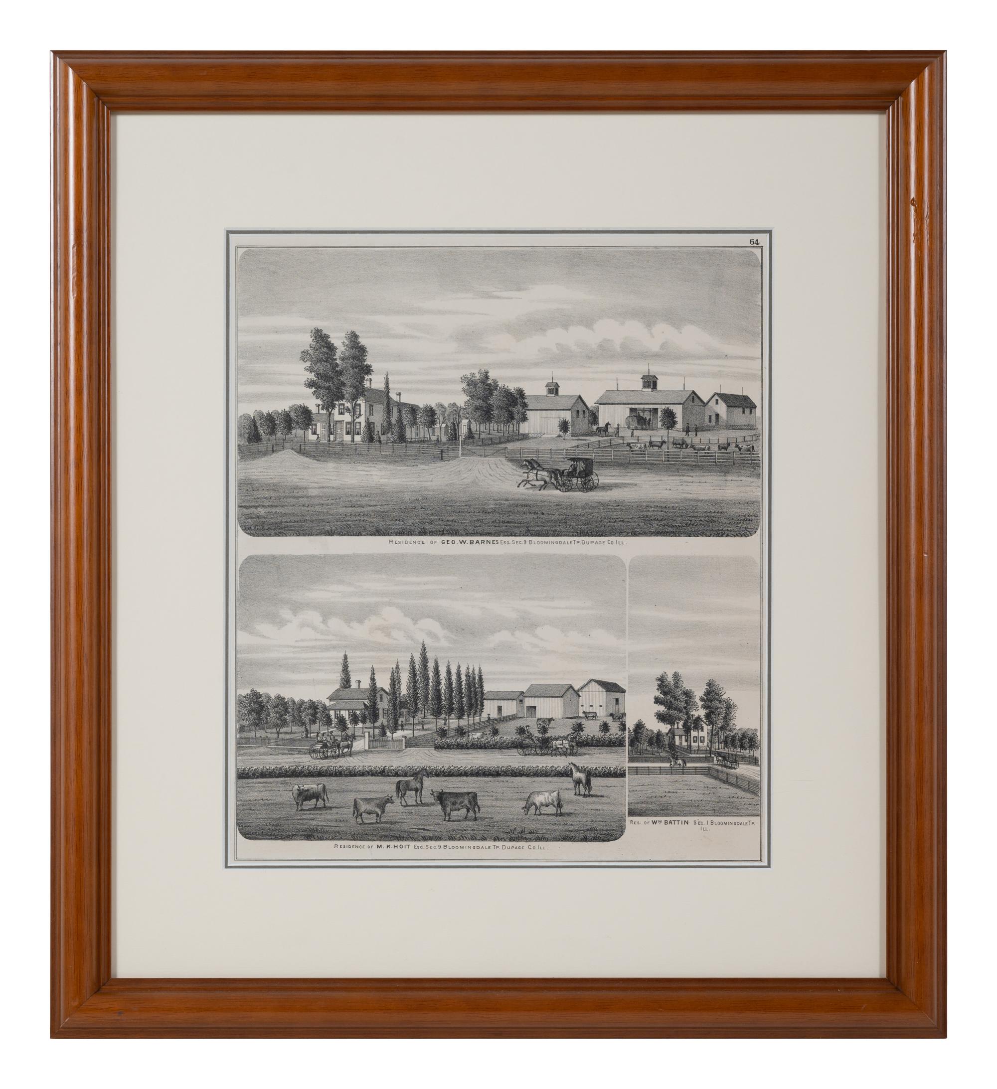 Printed City Views and Farm Scenes of Bloomingdale and Dupage County, Ill. N.p.: N.d. 23 x 21 In. Matted and framed.