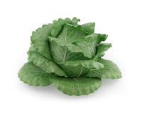 A Dodie Thayer Ceramic Cabbage-Form Tureen, Cover and Stand