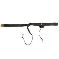 Late 19th Century US Naval Officer's Sword Belt & Plate
