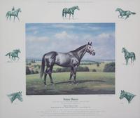 Nineteen Equestrian Prints