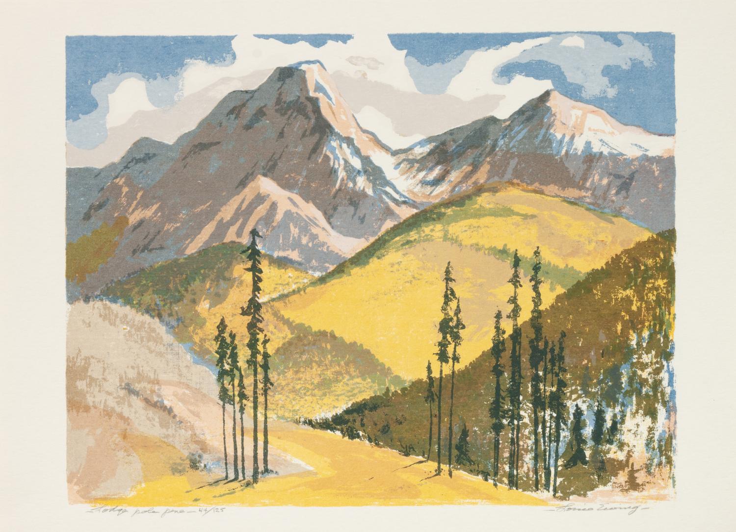 Five Works: October Color , edition 96/130; Lodge Pole Pine , edition 44/125; Apodaca Hill , edition 73/100; Cloud Shadows , edition 77/140; Stoney Creek , edition 68/130