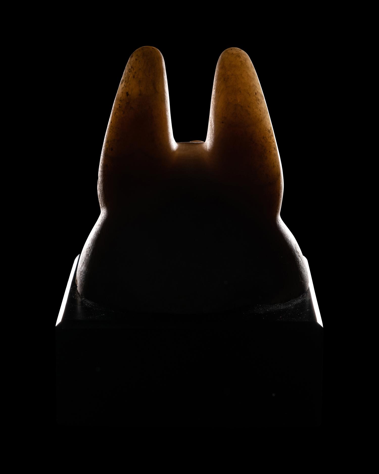 An Egyptian Alabaster Head of a Jackal