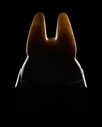 An Egyptian Alabaster Head of a Jackal