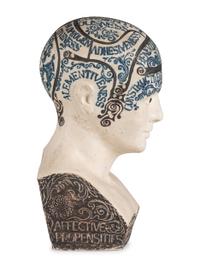 A Ceramic Fowler's Improved Phrenological Head