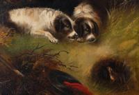Dogs Hunting