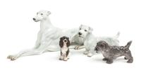 Four Austrian Porcelain Figures Width of widest 11 inches. — 20TH CENTURY