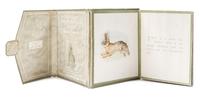 POTTER, BEATRIX. The Story of a Fierce Bad Rabbit. New York and London, [1906] First US edition.