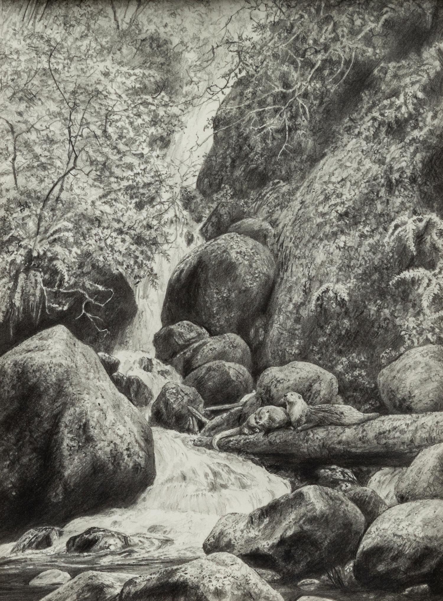 Spring Runoff , 1997