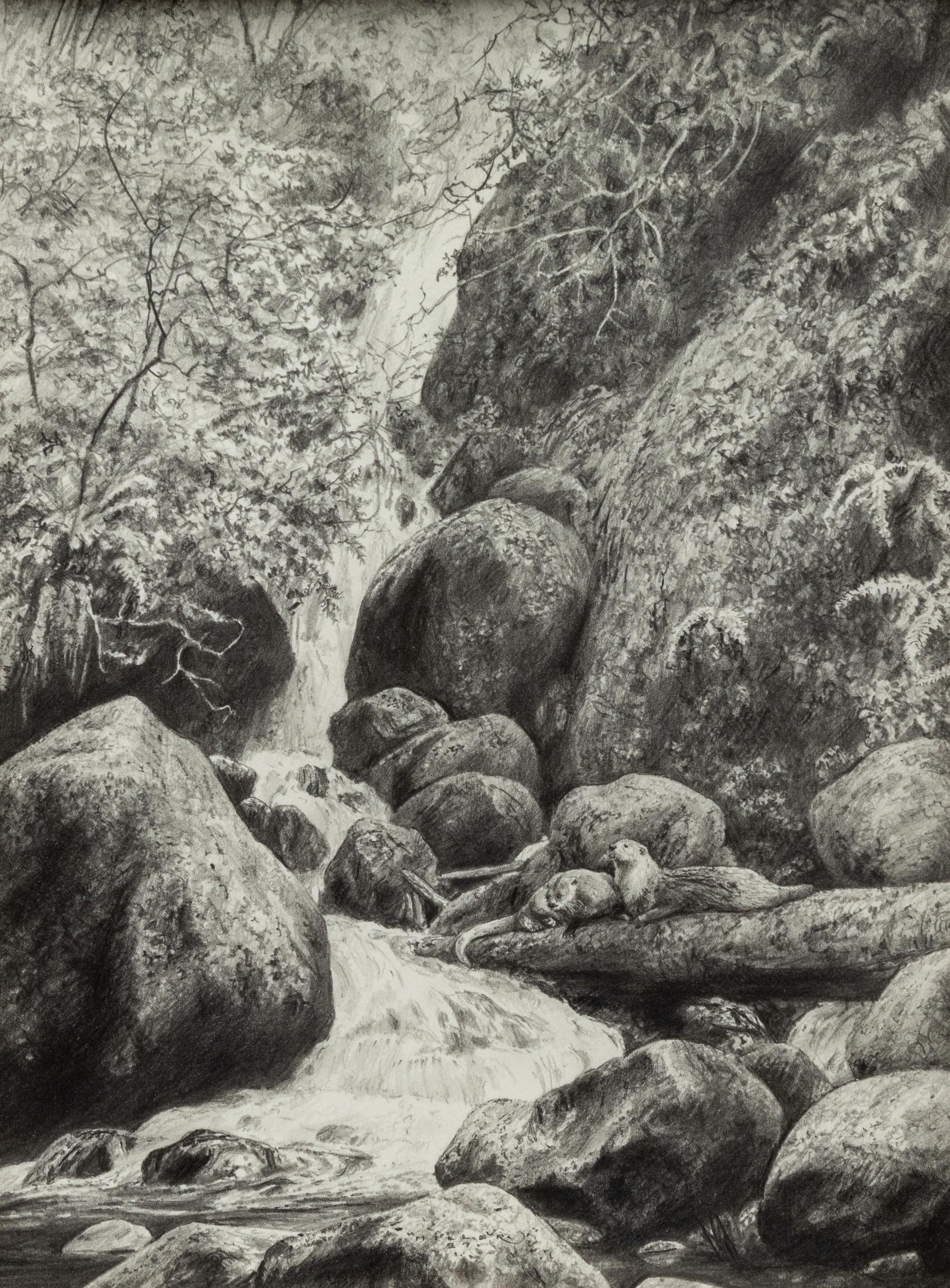 Spring Runoff , 1997