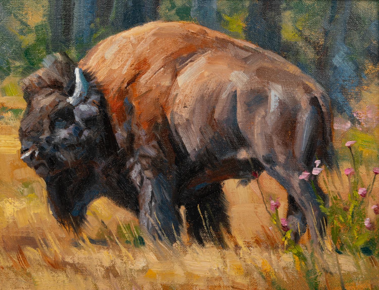 Bison in Flowers
