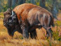 Bison in Flowers