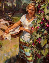 Morning Glory