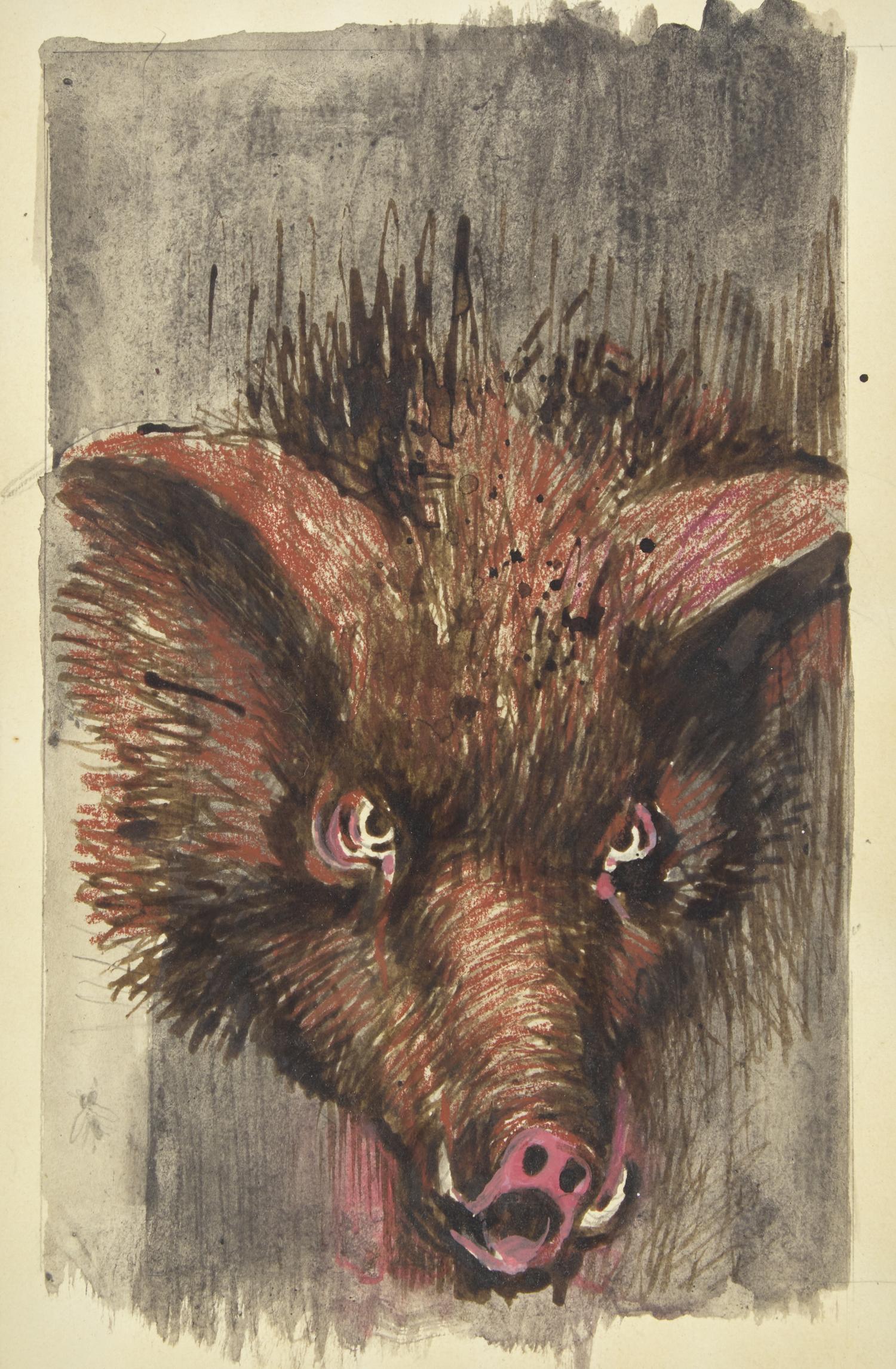 Pig ; Original study for Lord of the Flies