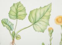 A Royal Copenhagen Flora Danica Porcelain Square Tray