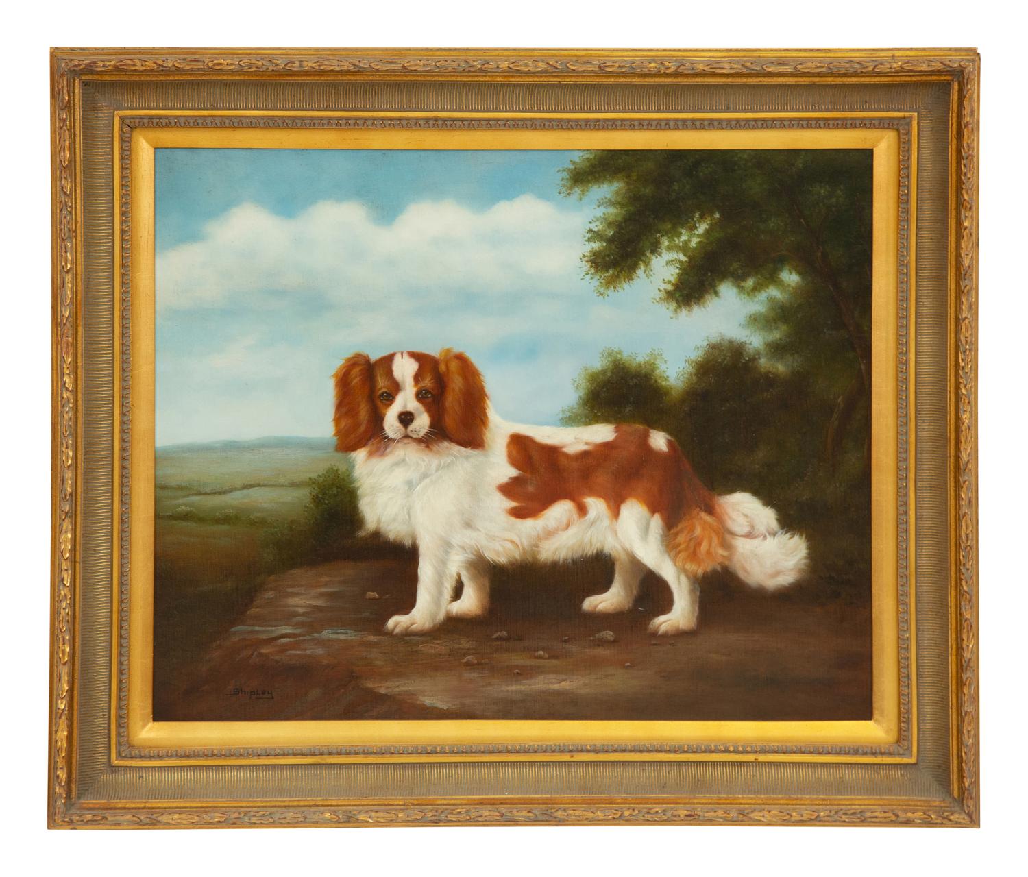 Spaniel in Landscape