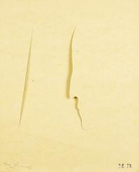 Jasper Johns (American, 1930) — M.D. (from Merce Cunningham ), 1974