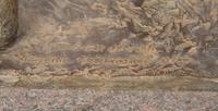Cheyenne Celebration, edition 2/24