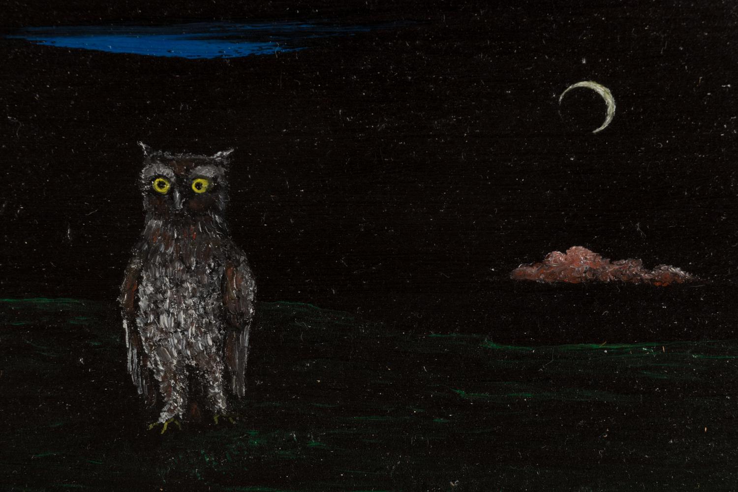 Night Owl