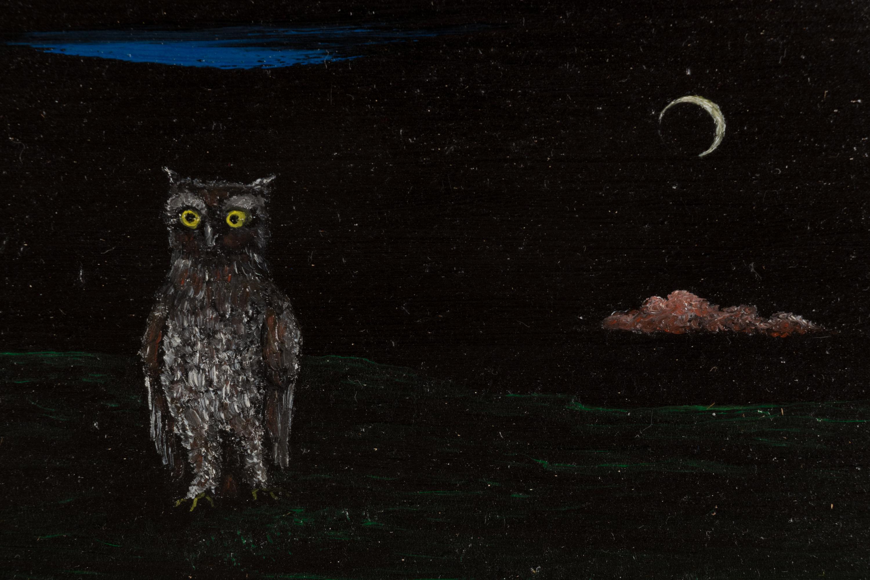 Night Owl