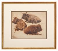 Three Highland Cattle