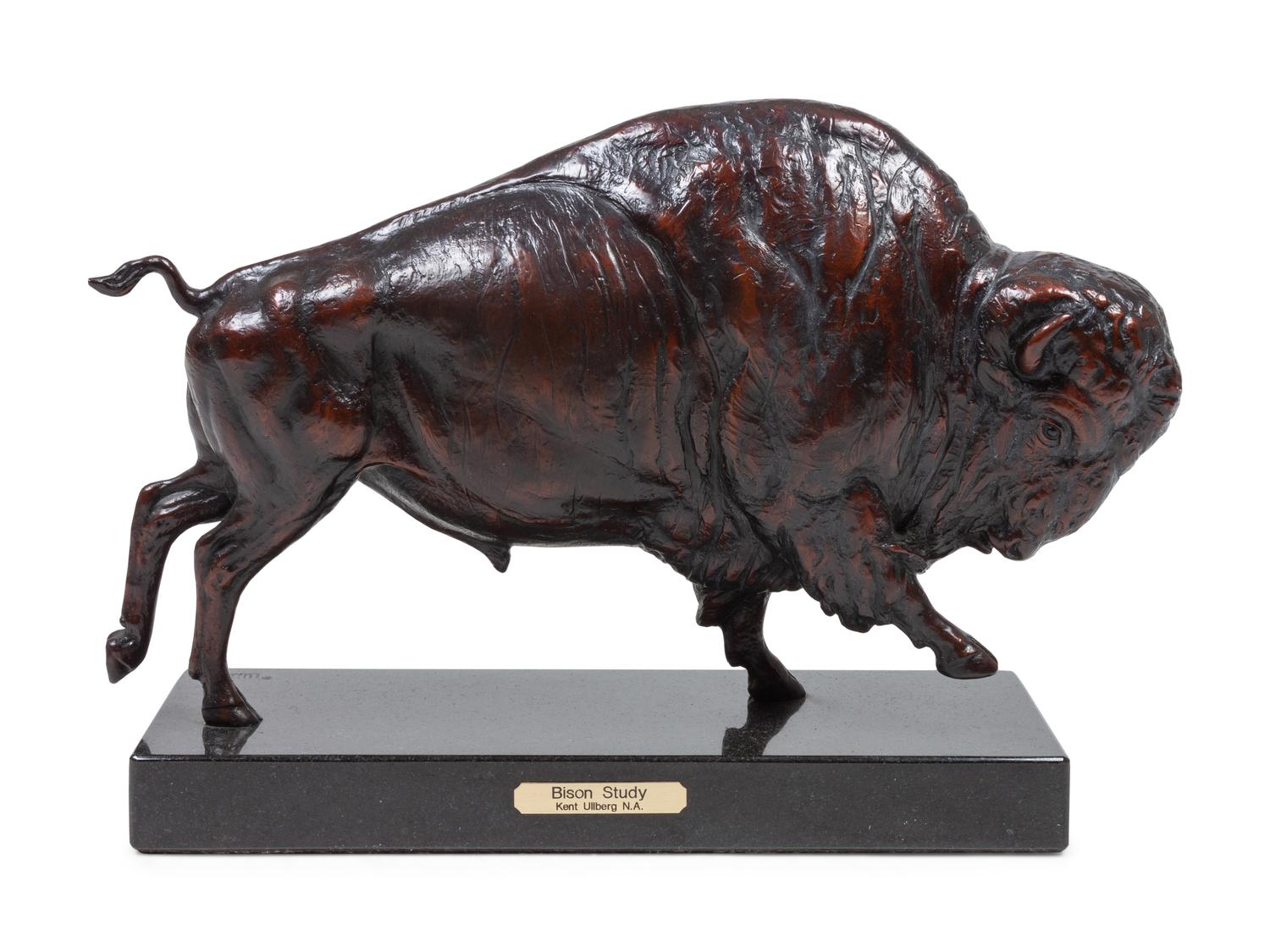Bison Study, edition 14/50