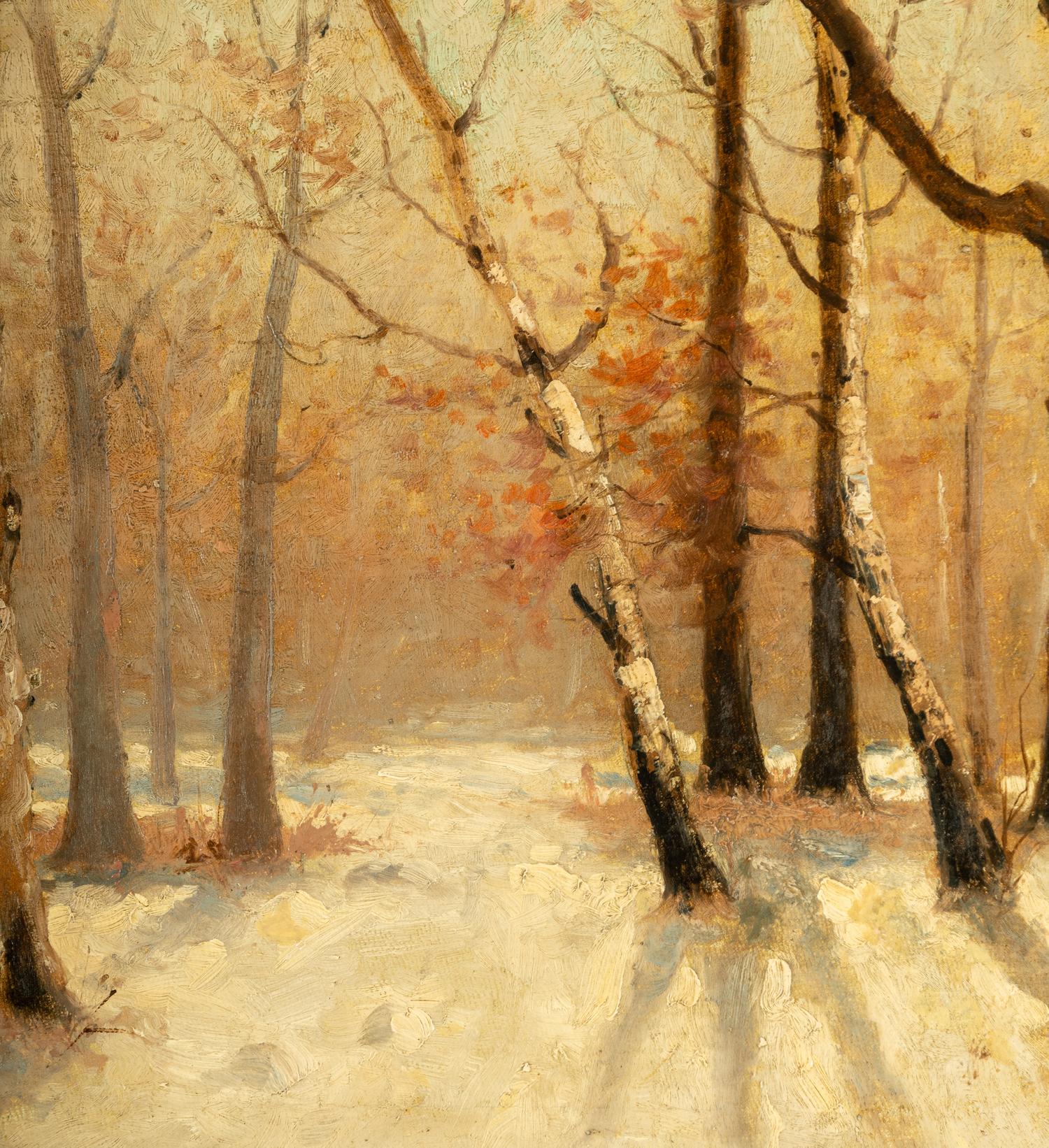 Snow and Trees