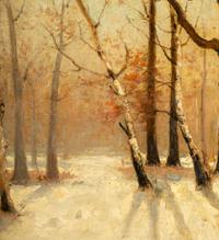Snow and Trees