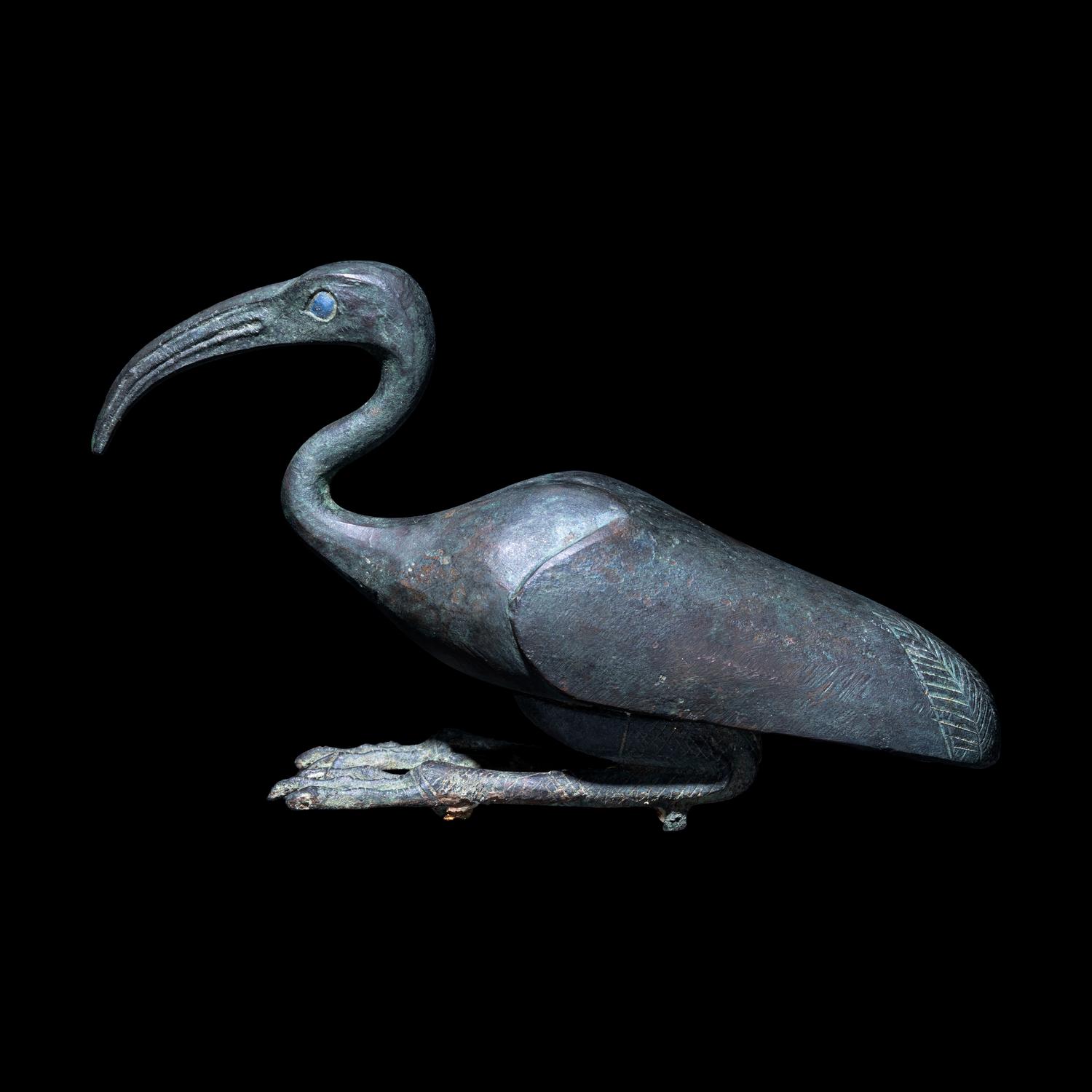An Egyptian Bronze Ibis