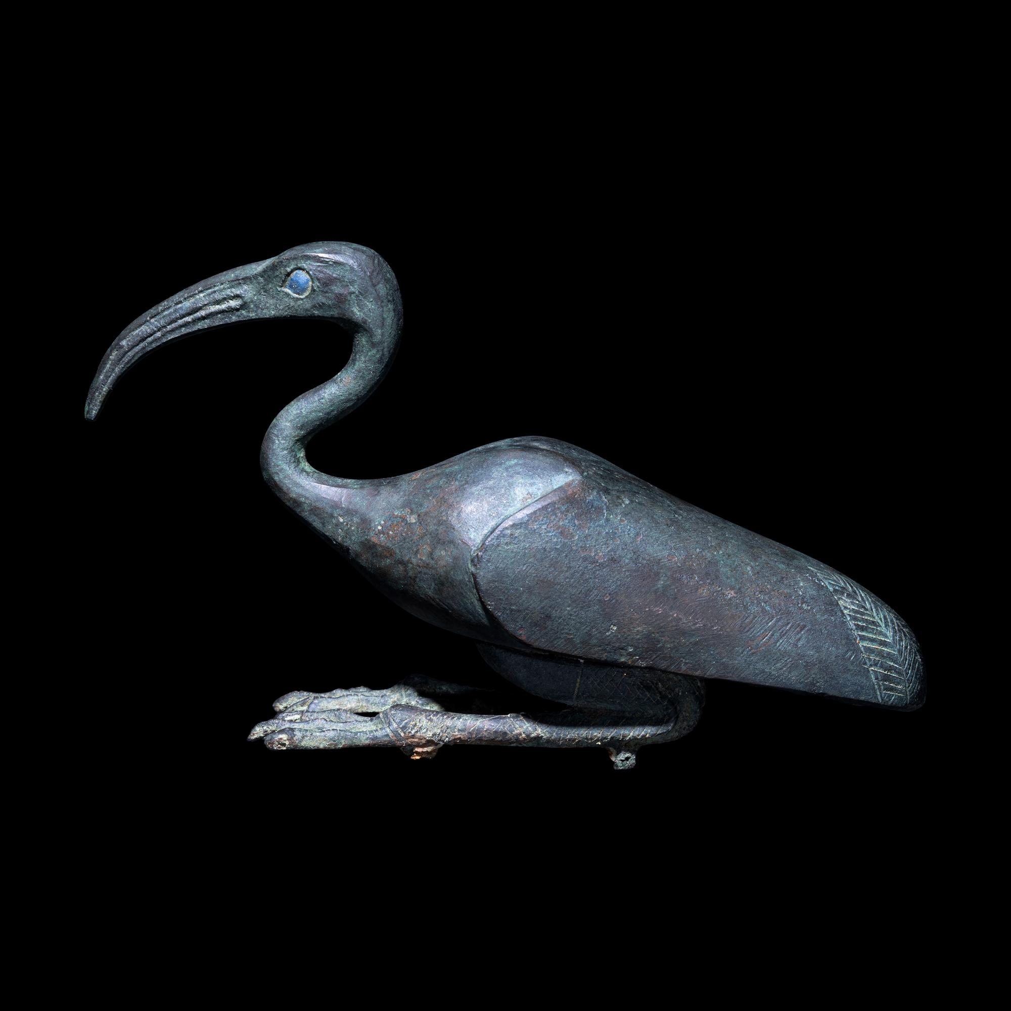 An Egyptian Bronze Ibis