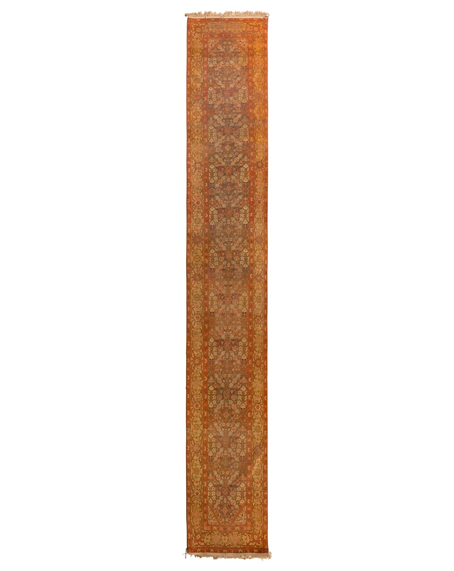An Agra Runner