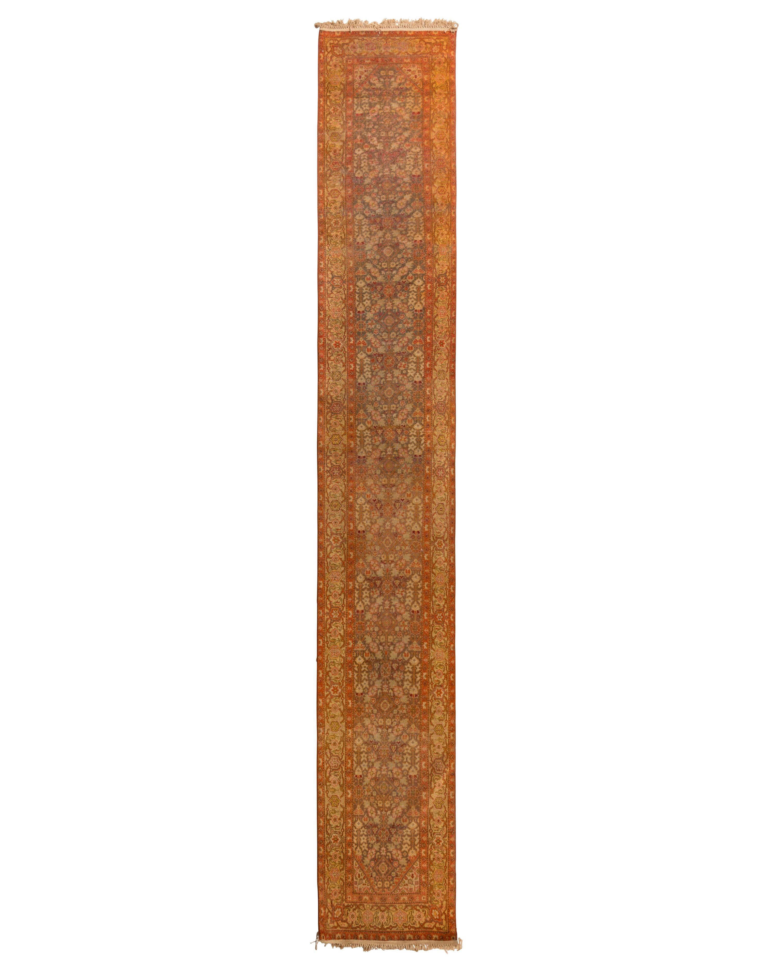 An Agra Runner