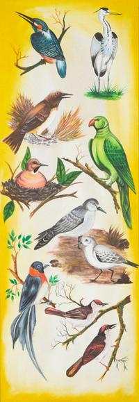 Various Birds on Branches