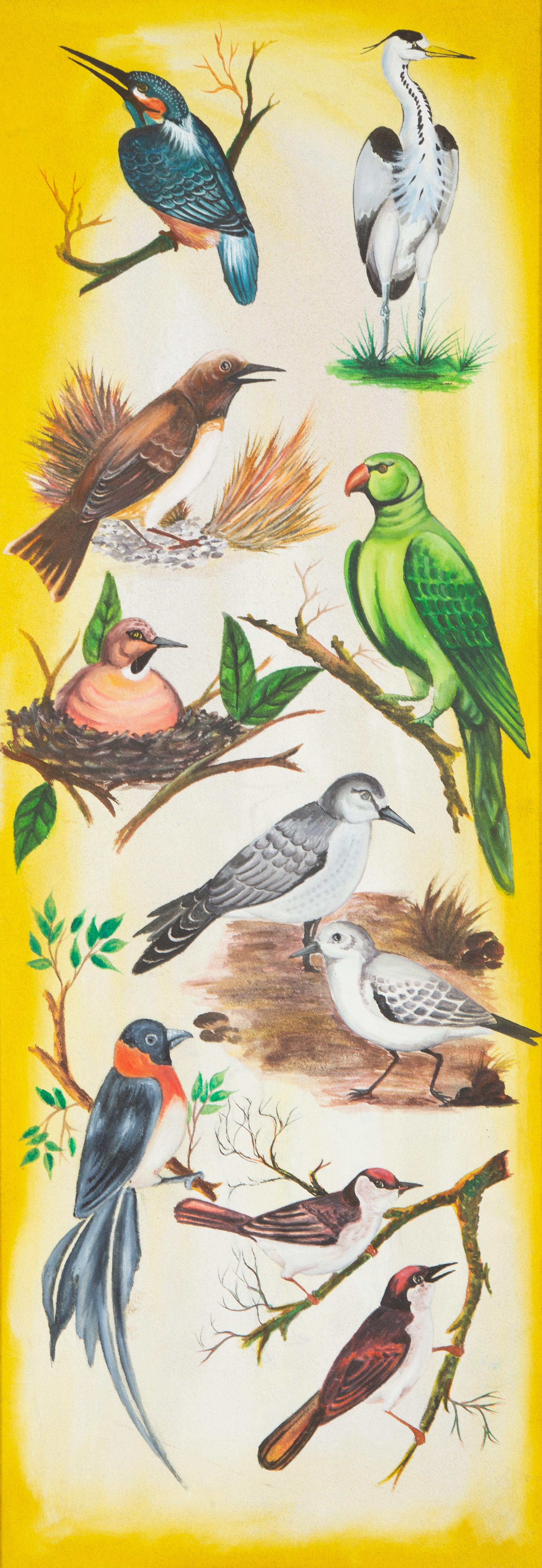 Various Birds on Branches