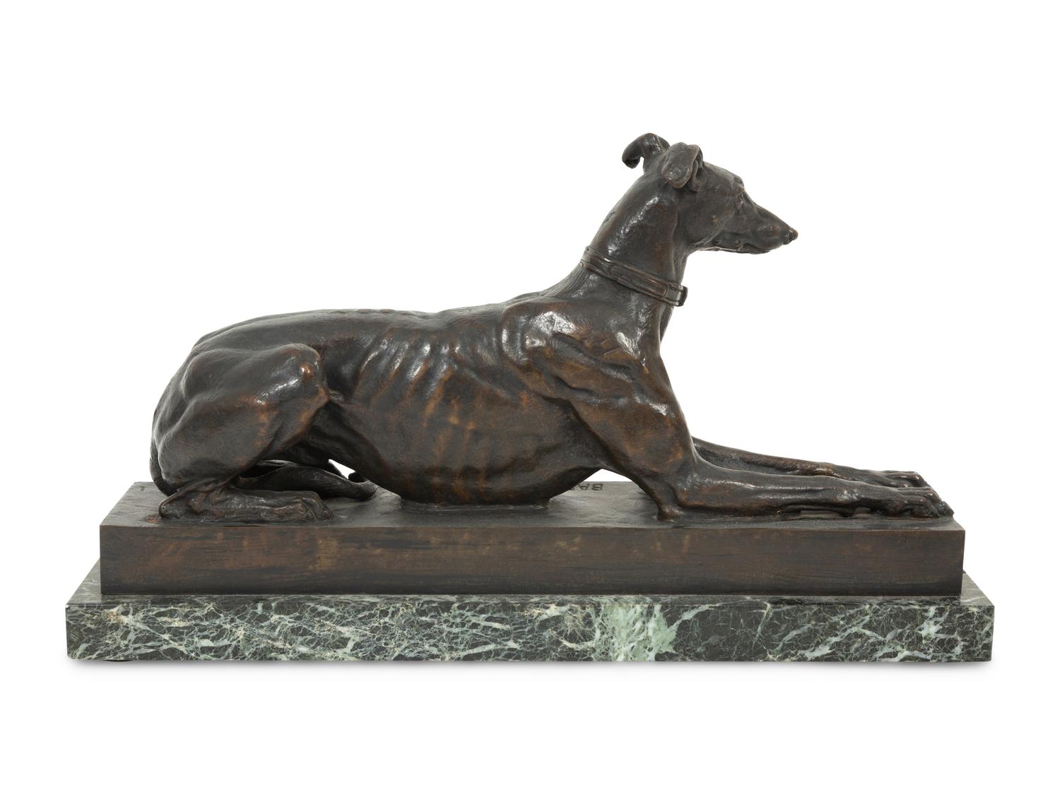 Tom, the Algerian Greyhound