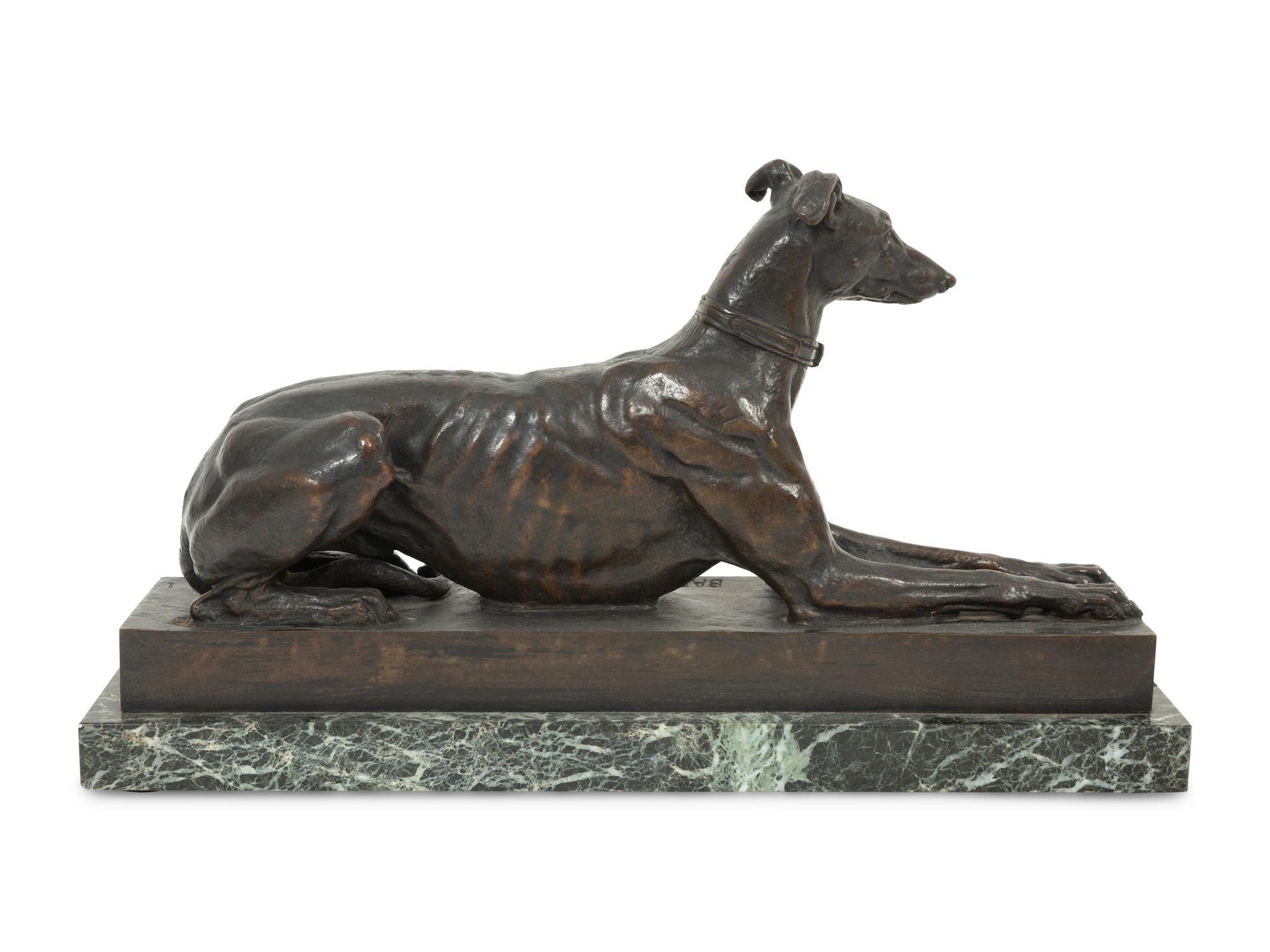 Tom, the Algerian Greyhound