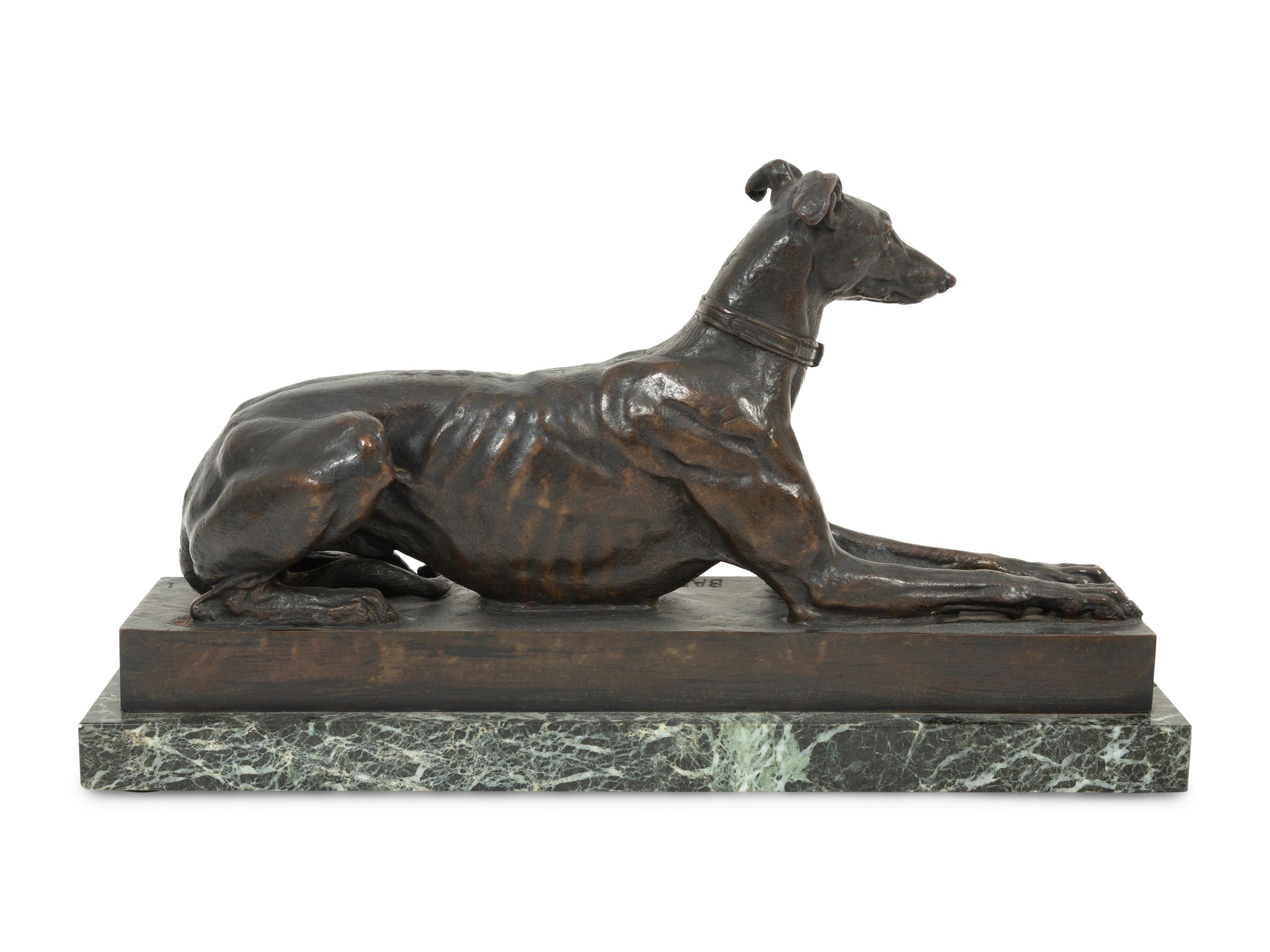 Tom, the Algerian Greyhound