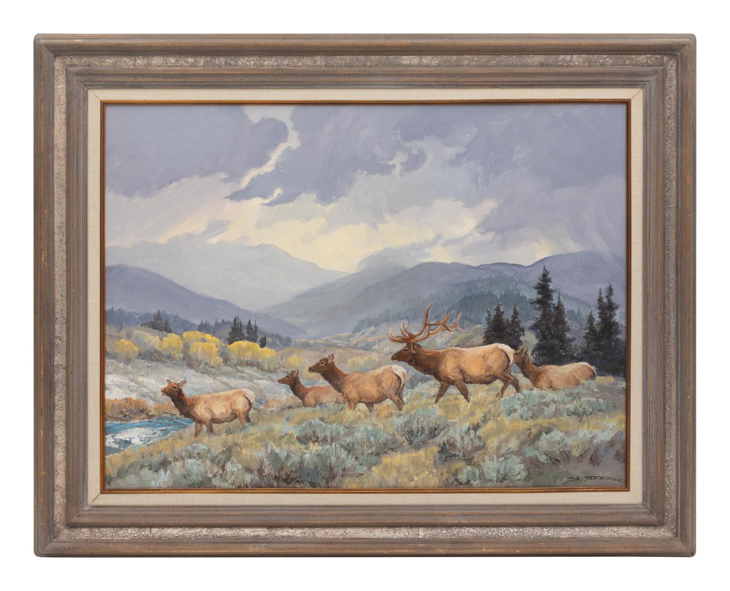 Elk & Afternoon Showers