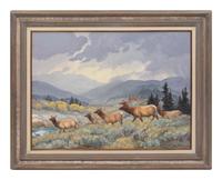Elk & Afternoon Showers