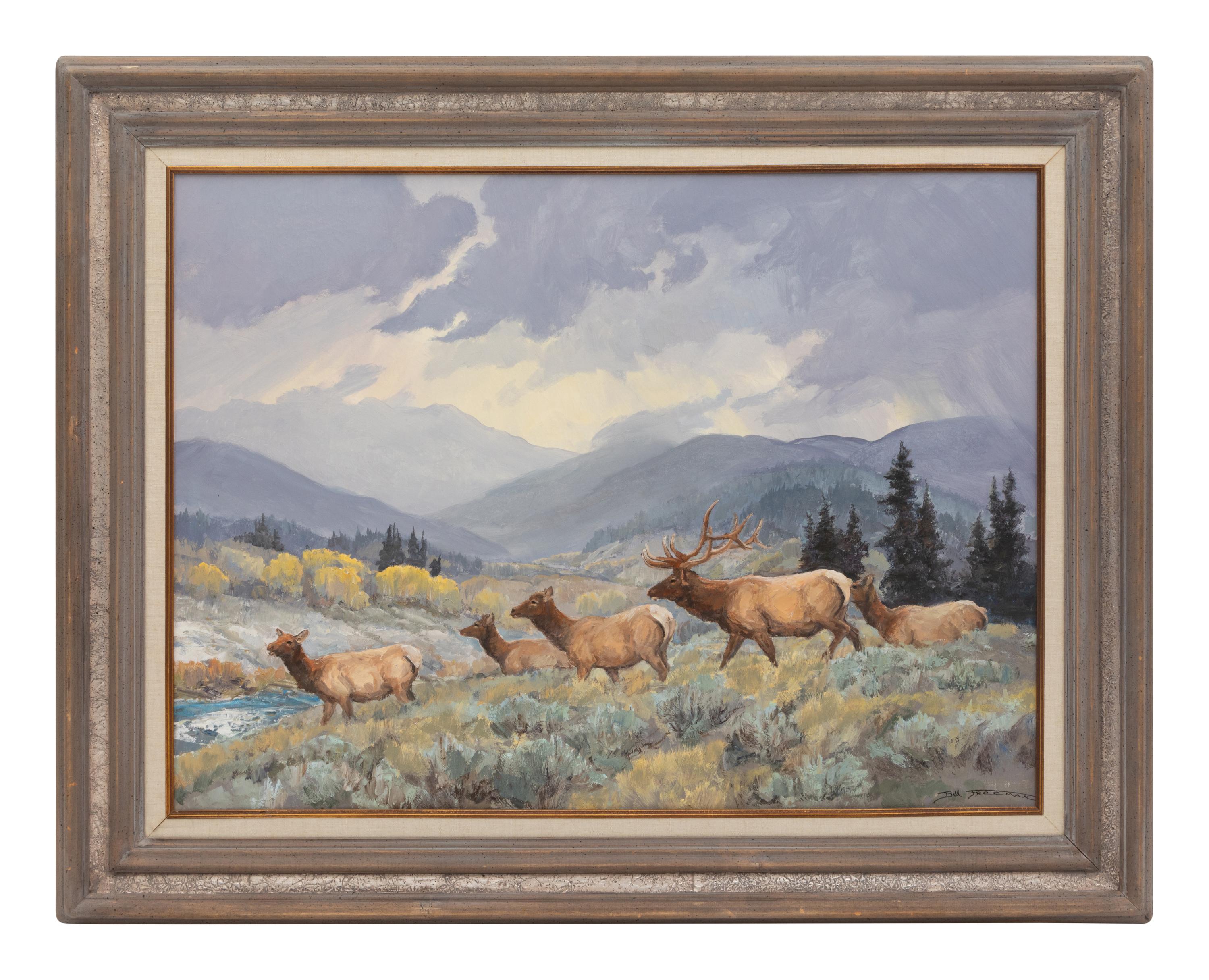 Elk & Afternoon Showers