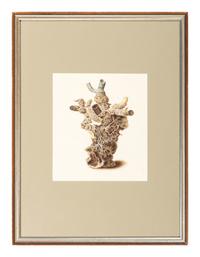 Six Hand-Colored Shell and Coral Engravings