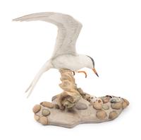 A Boehm Porcelain Common Tern Group