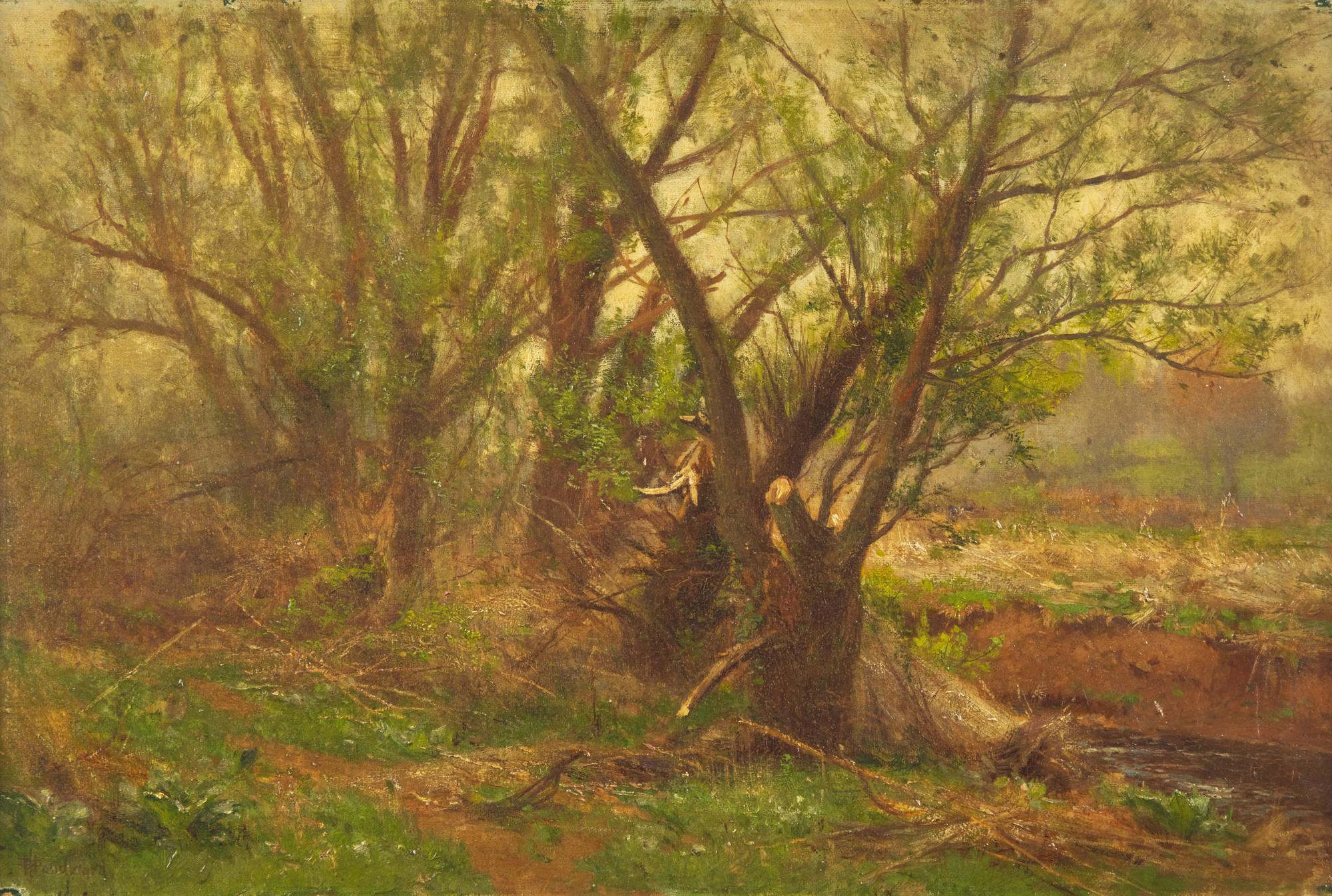 Wooded Landscape