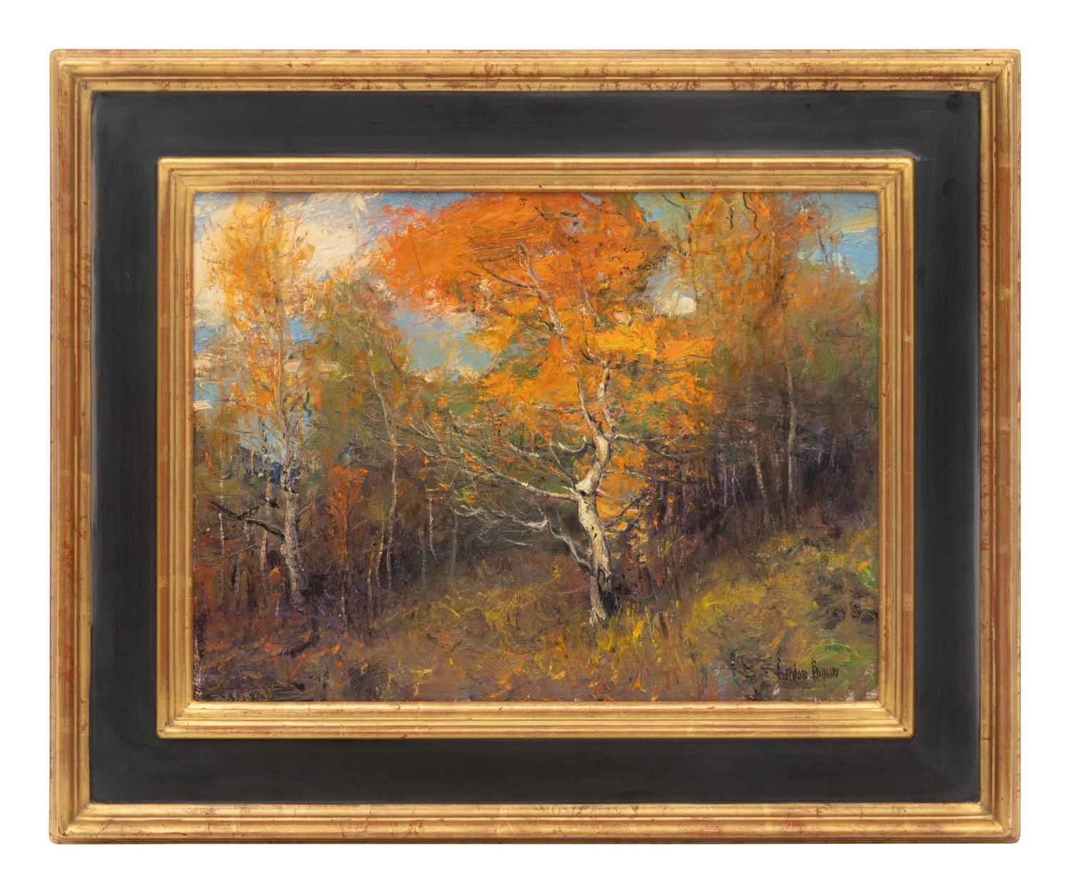Aspen Trees